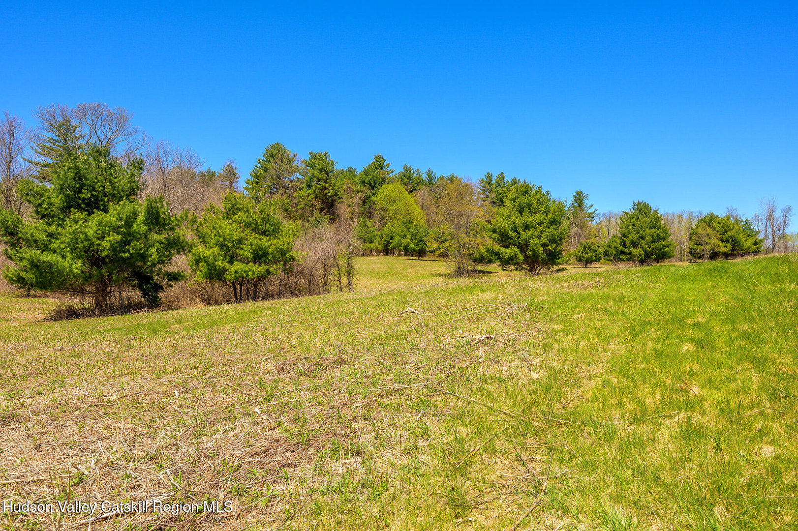 0 Mitchell Street Photo 15