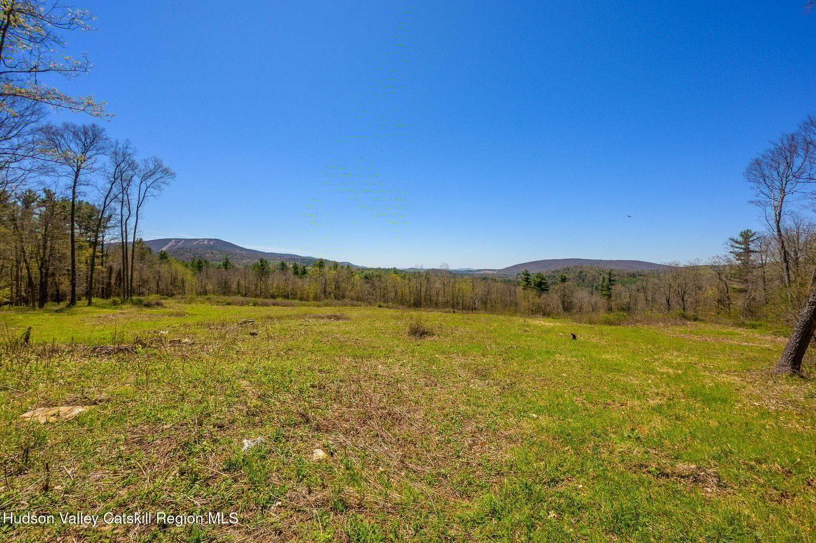 0 Mitchell Street Photo 4