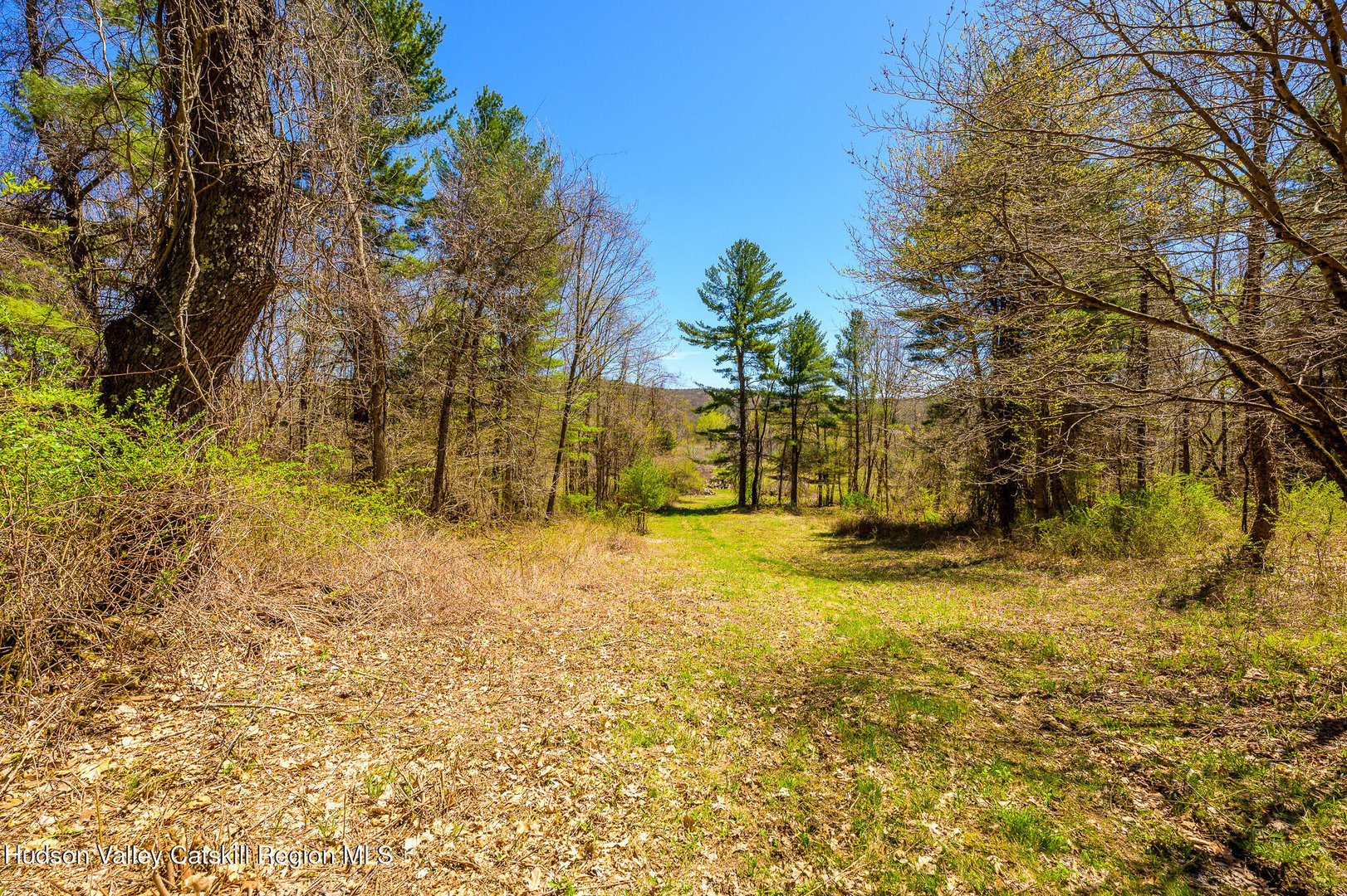 0 Mitchell Street Photo 28