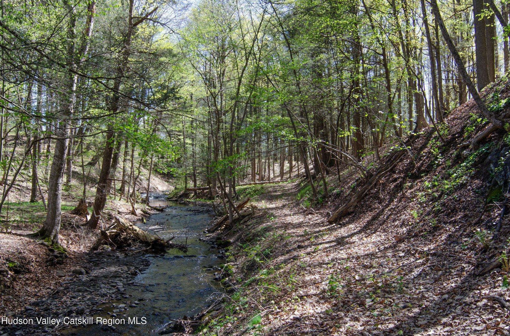 4317 Ny-23 Photo 45