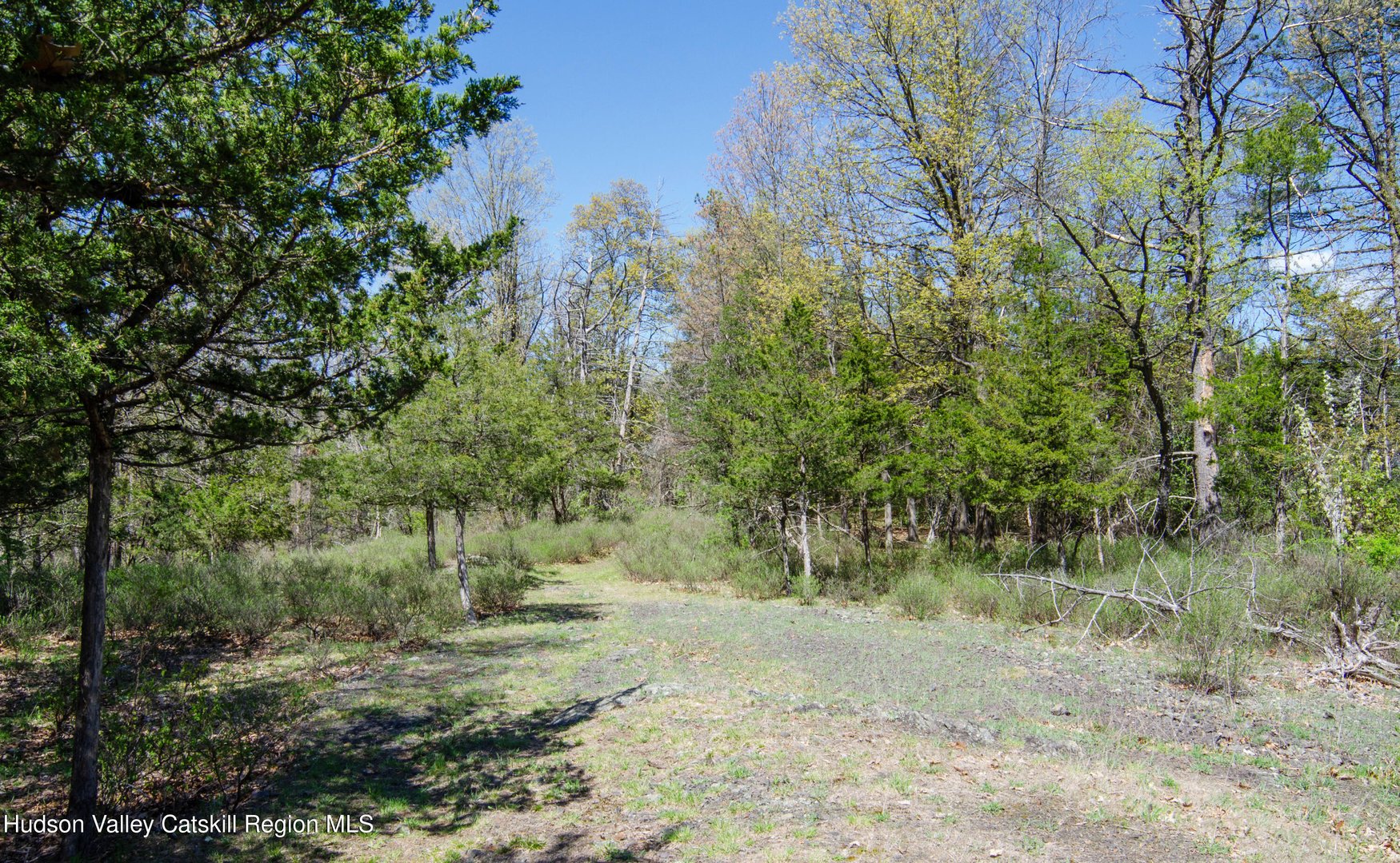4317 Ny-23 Photo 43