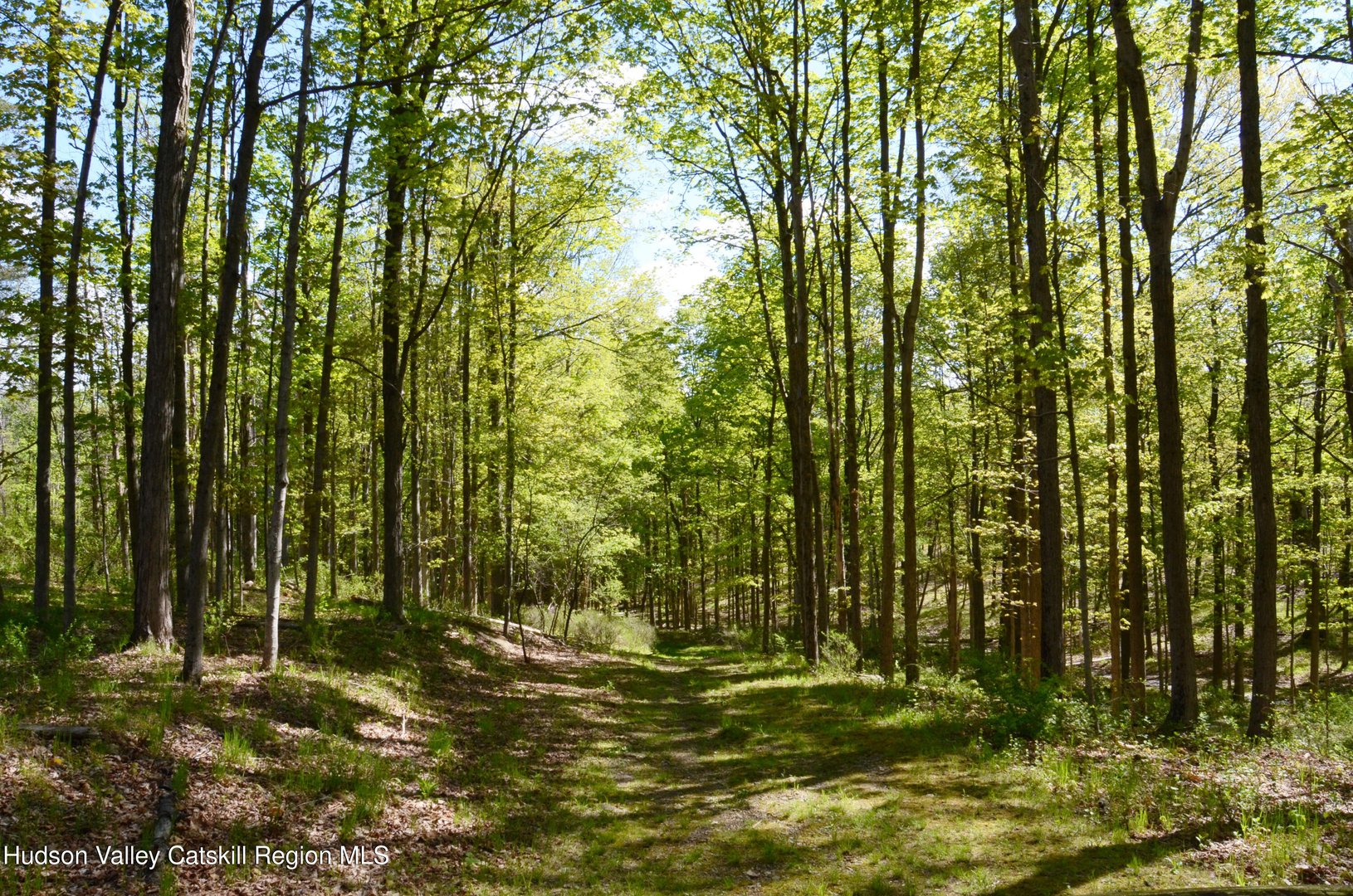 4317 Ny-23 Photo 42
