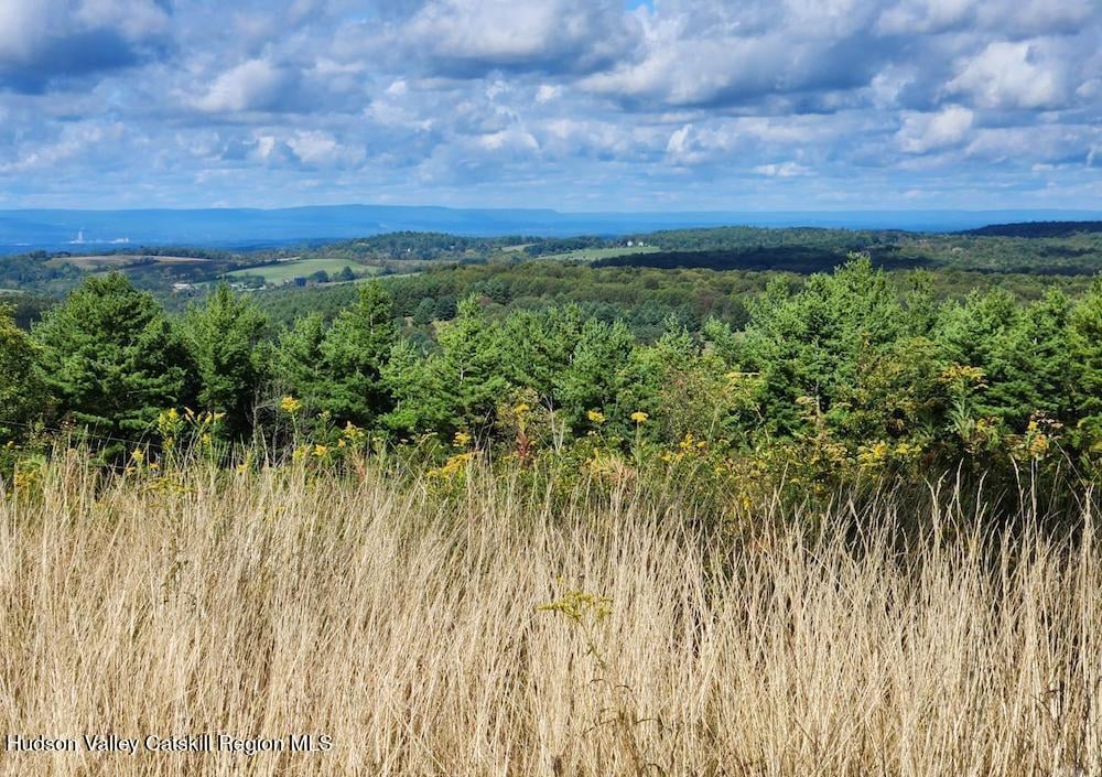 69 County Rte 24 Photo 10