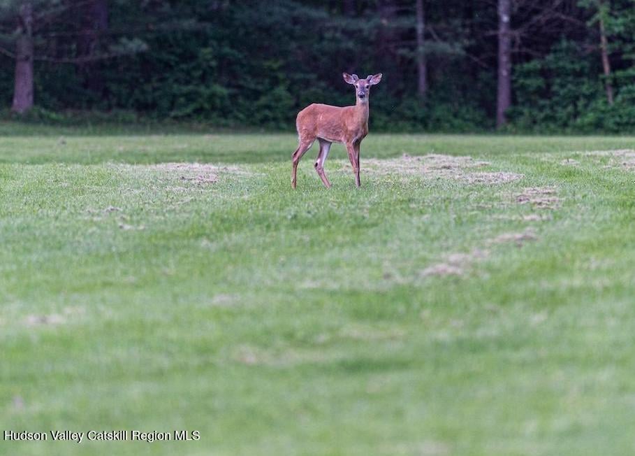 69 County Rte 24 Photo 16
