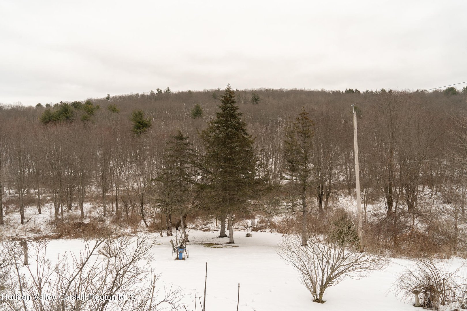 1291 New York 23 Photo 4