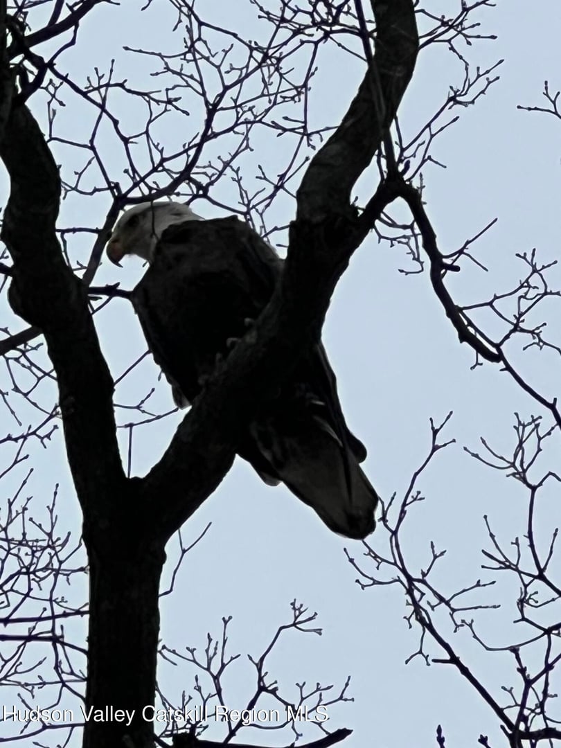 4 Lower Post Road Photo 29