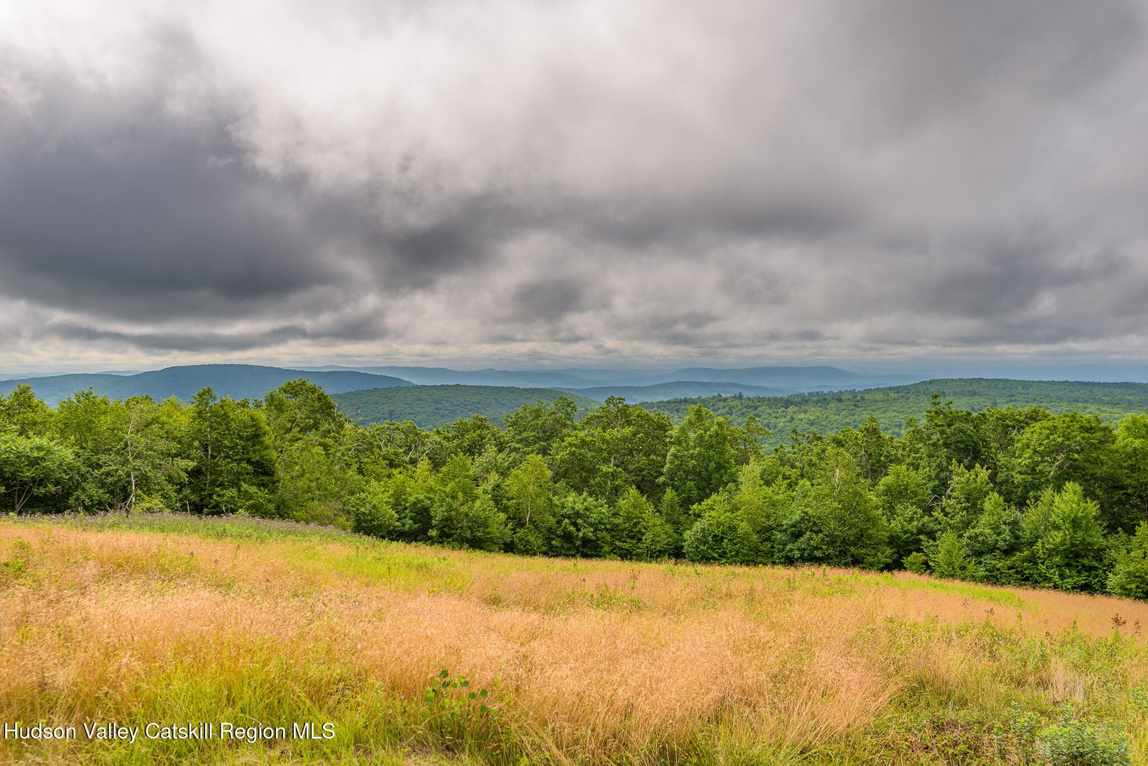 890 Bald Mountain Road Photo 2