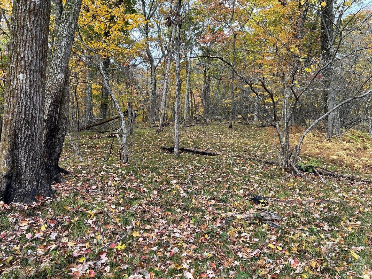 0 W Hill Road Photo 7