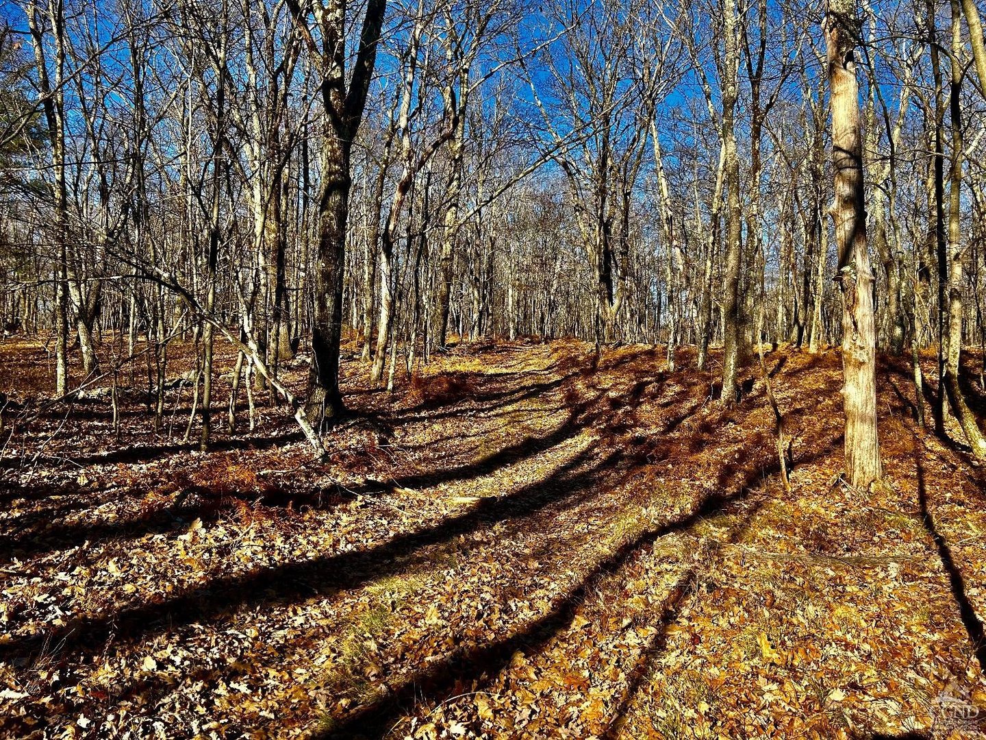 0 W Hill Road Photo 13