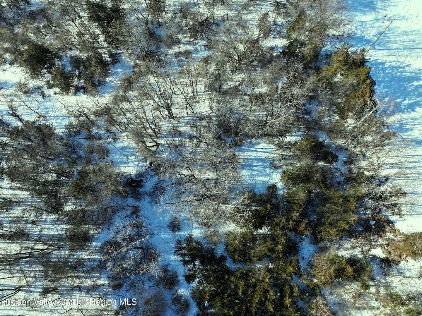 0 Bells Pond Road Photo 12