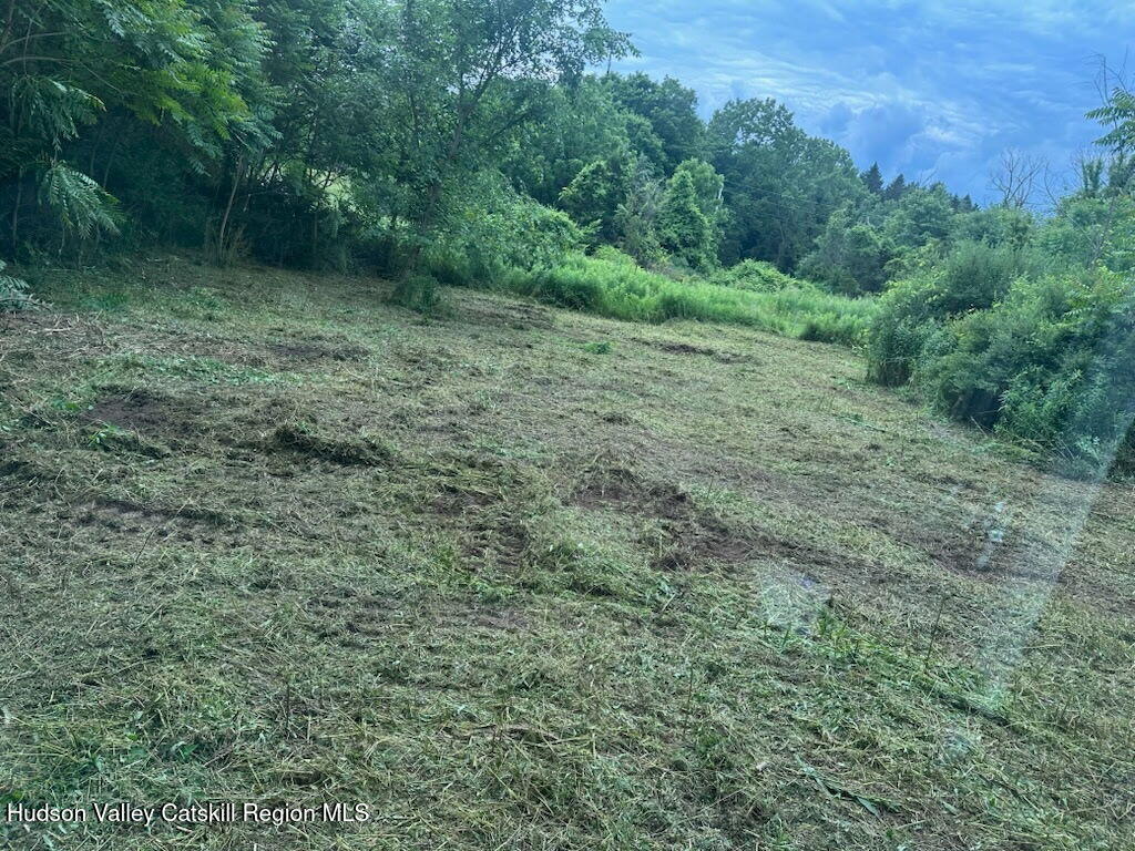 0 Bells Pond Road Photo 4
