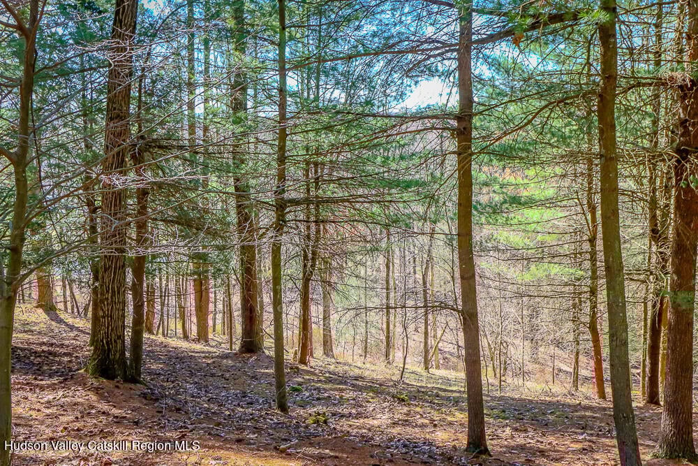 996 Dugway Road Photo 8