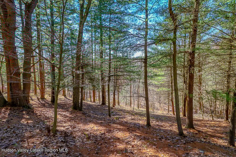 996 Dugway Road Photo 58