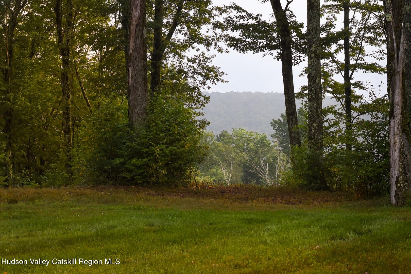 120 Route 203 Photo 23