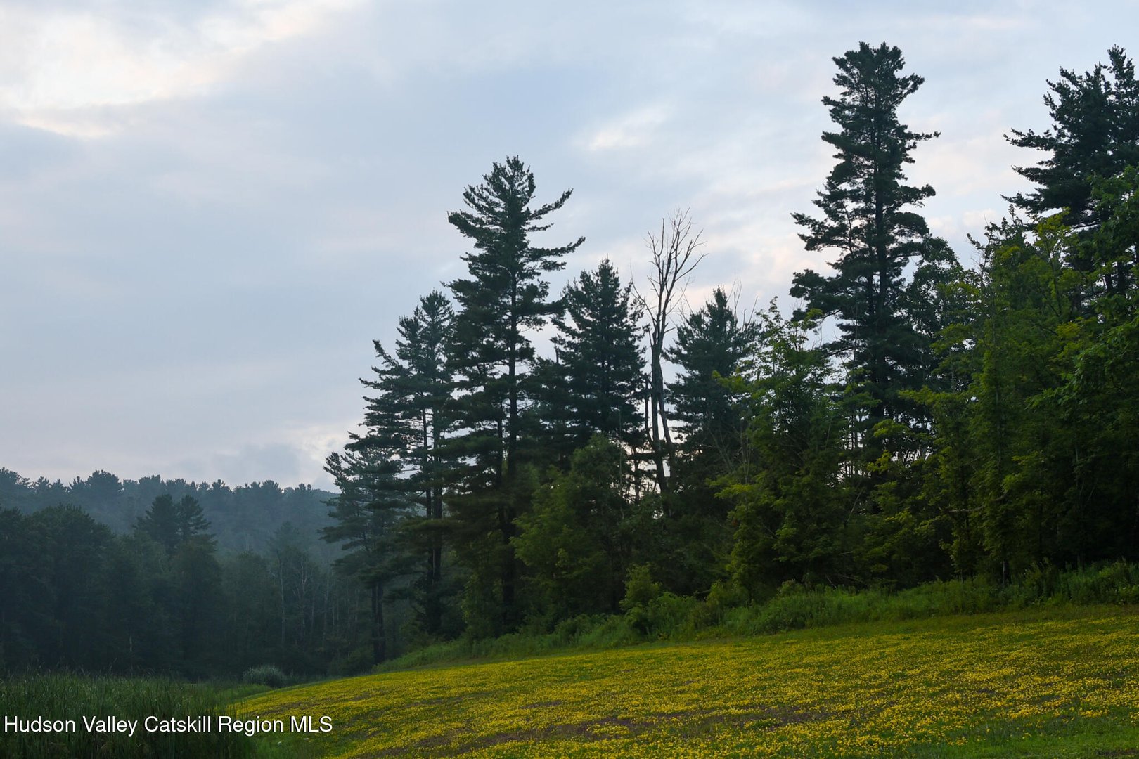 120 Route 203 Photo 22