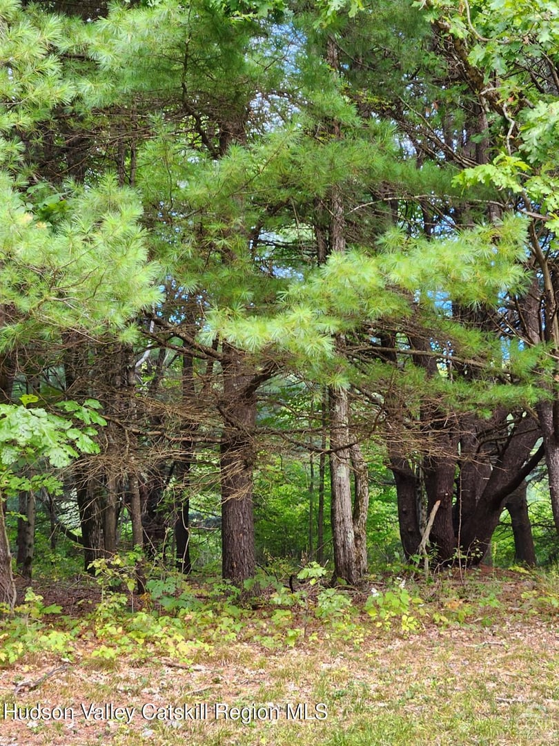 120 Route 203 Photo 12