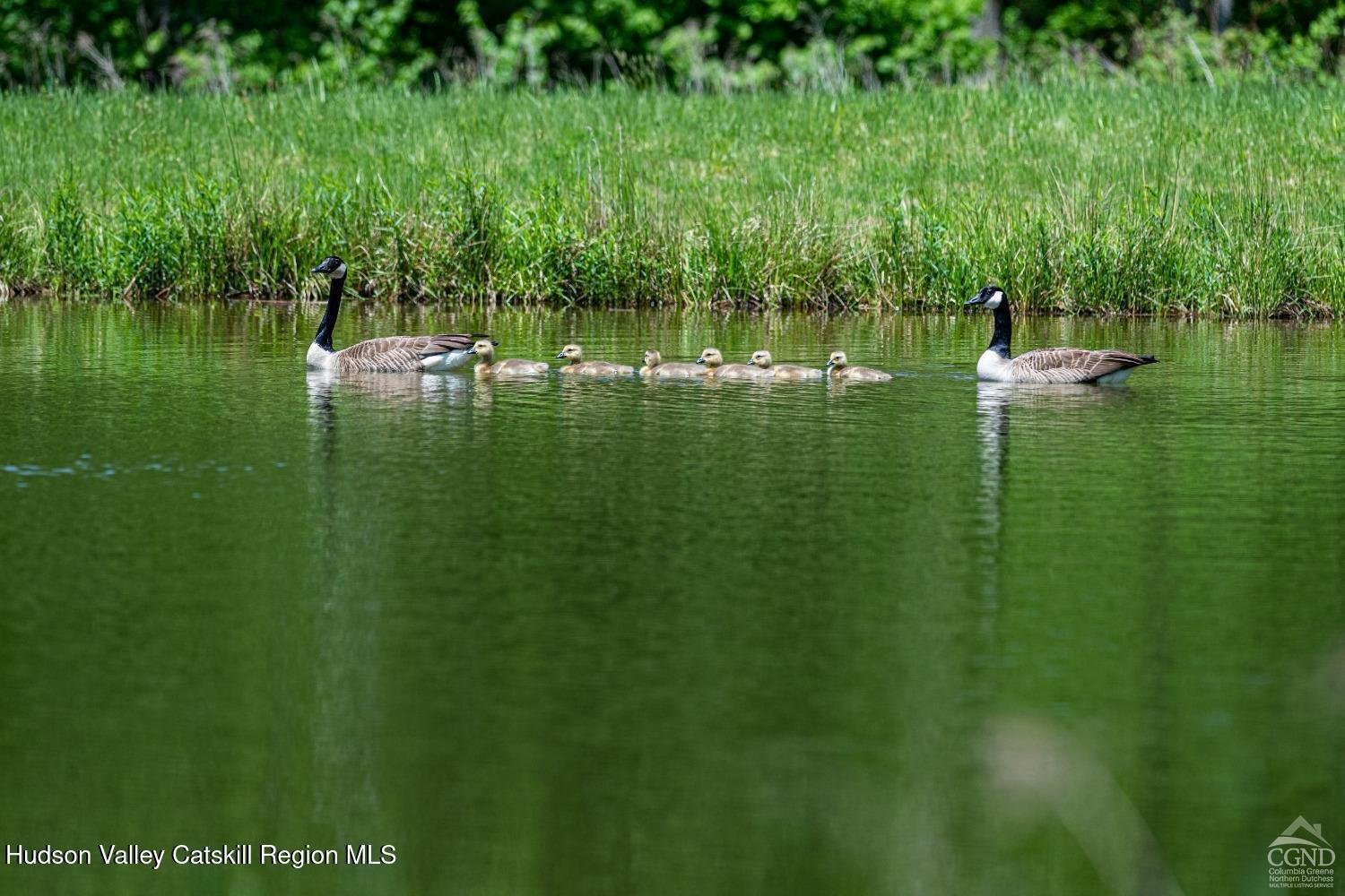 120 Route 203 Photo 15