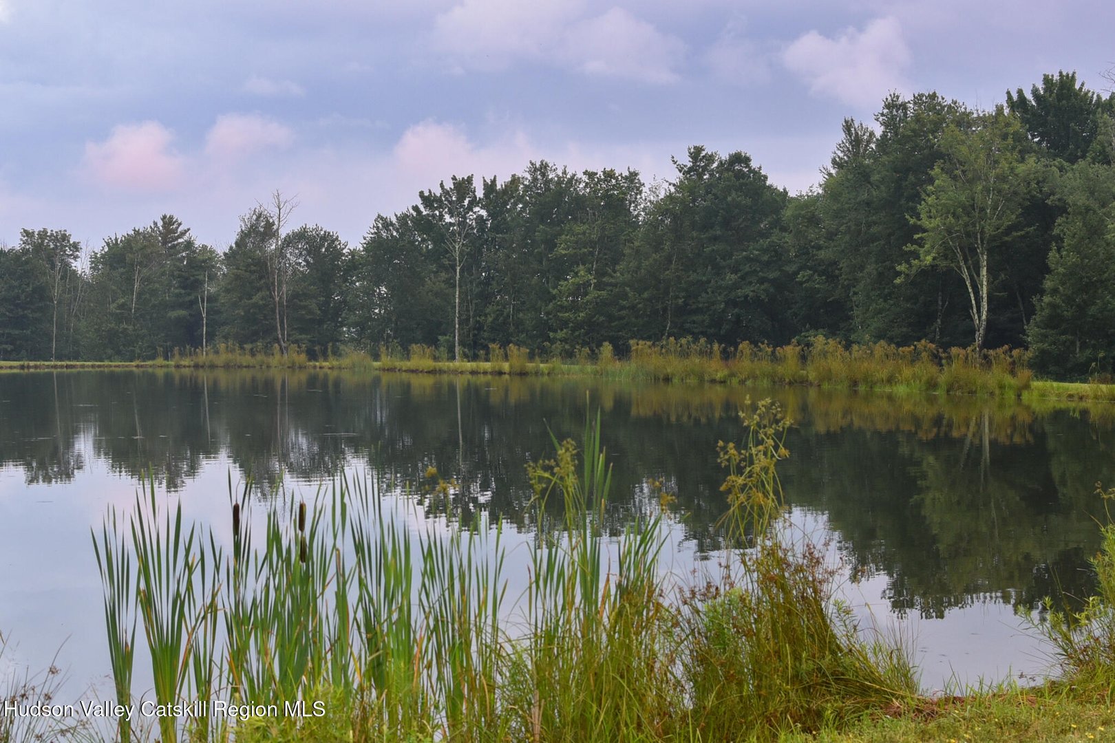 120 Route 203 Photo 14