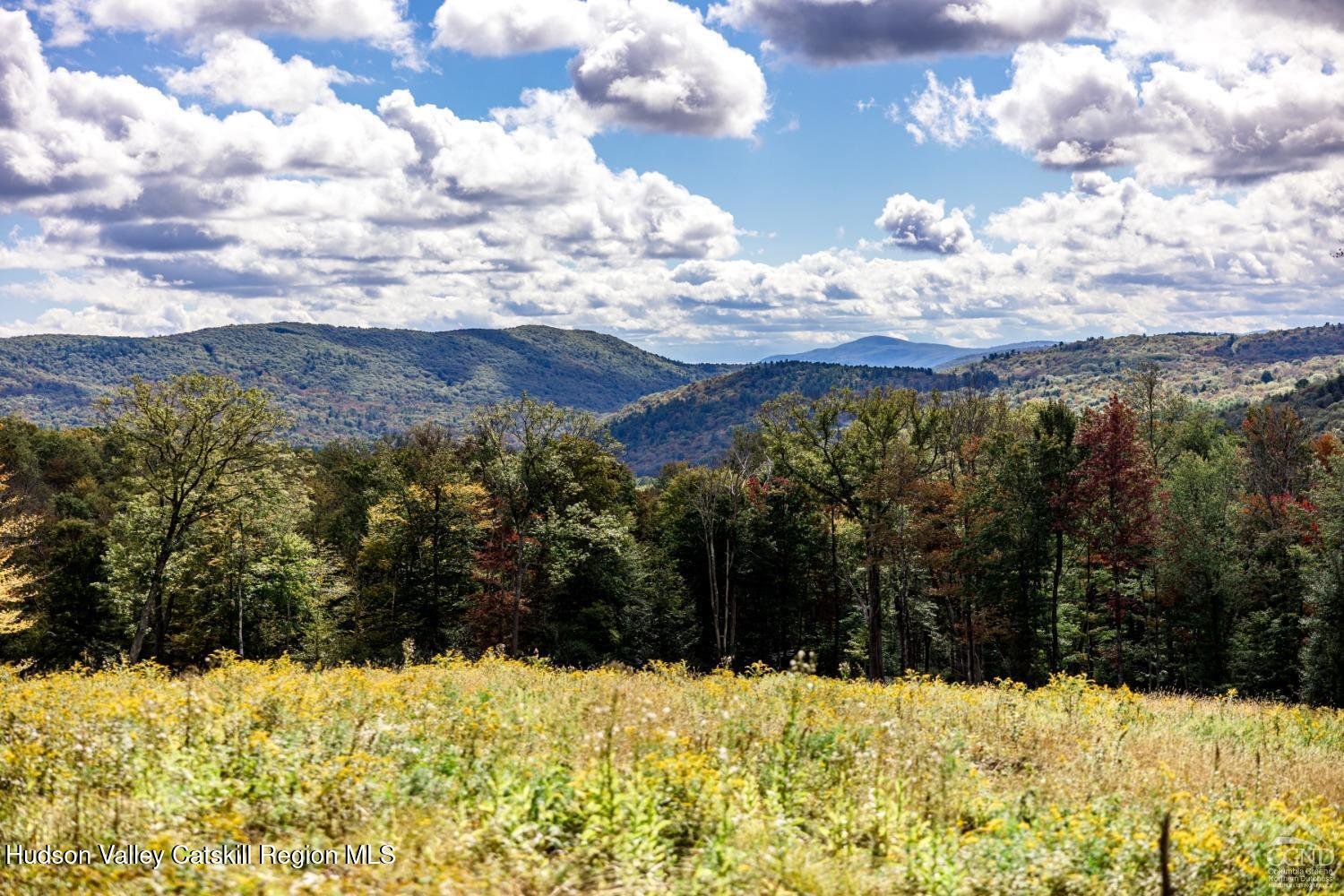 120 Route 203 Photo 10