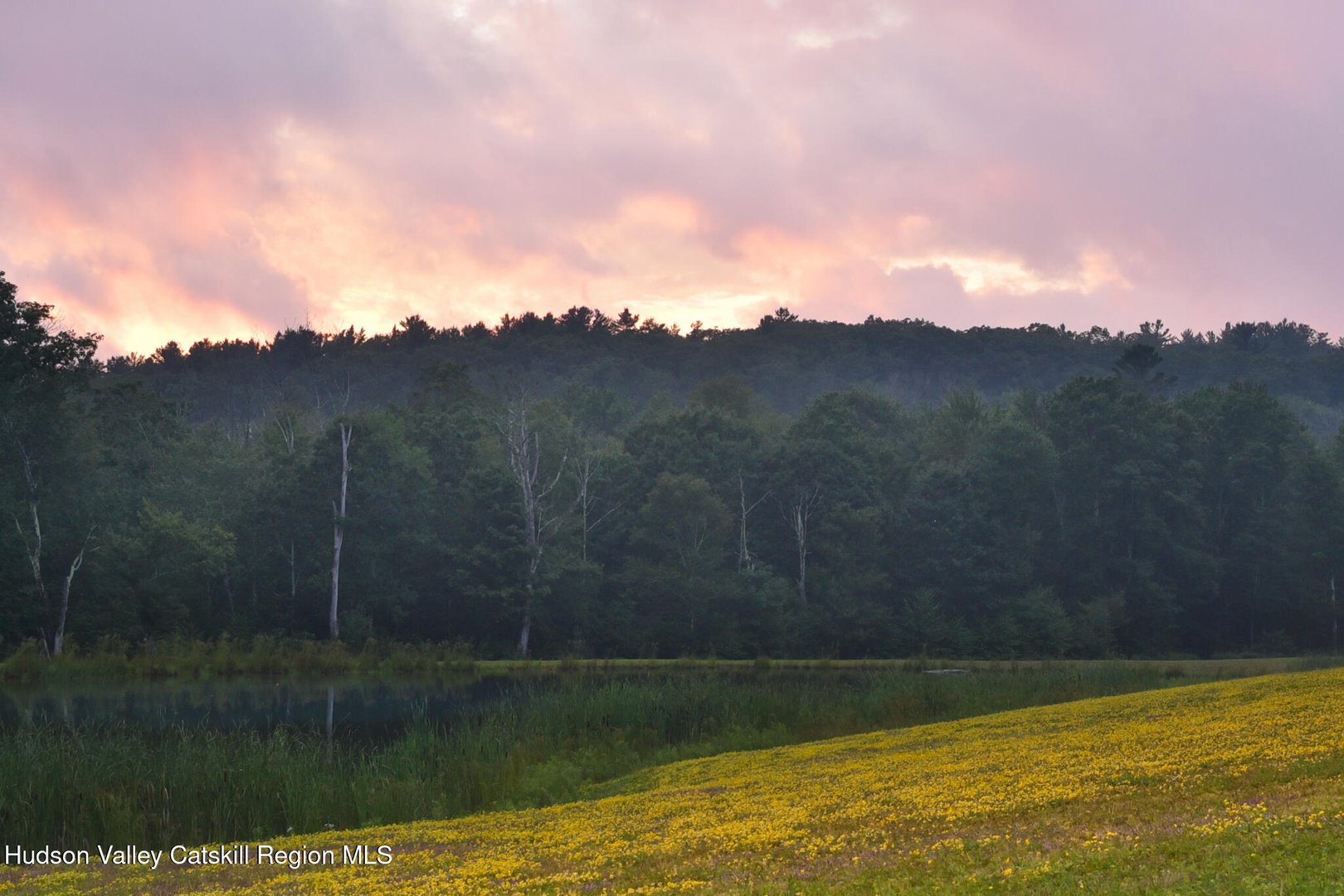 120 Route 203 Photo 3