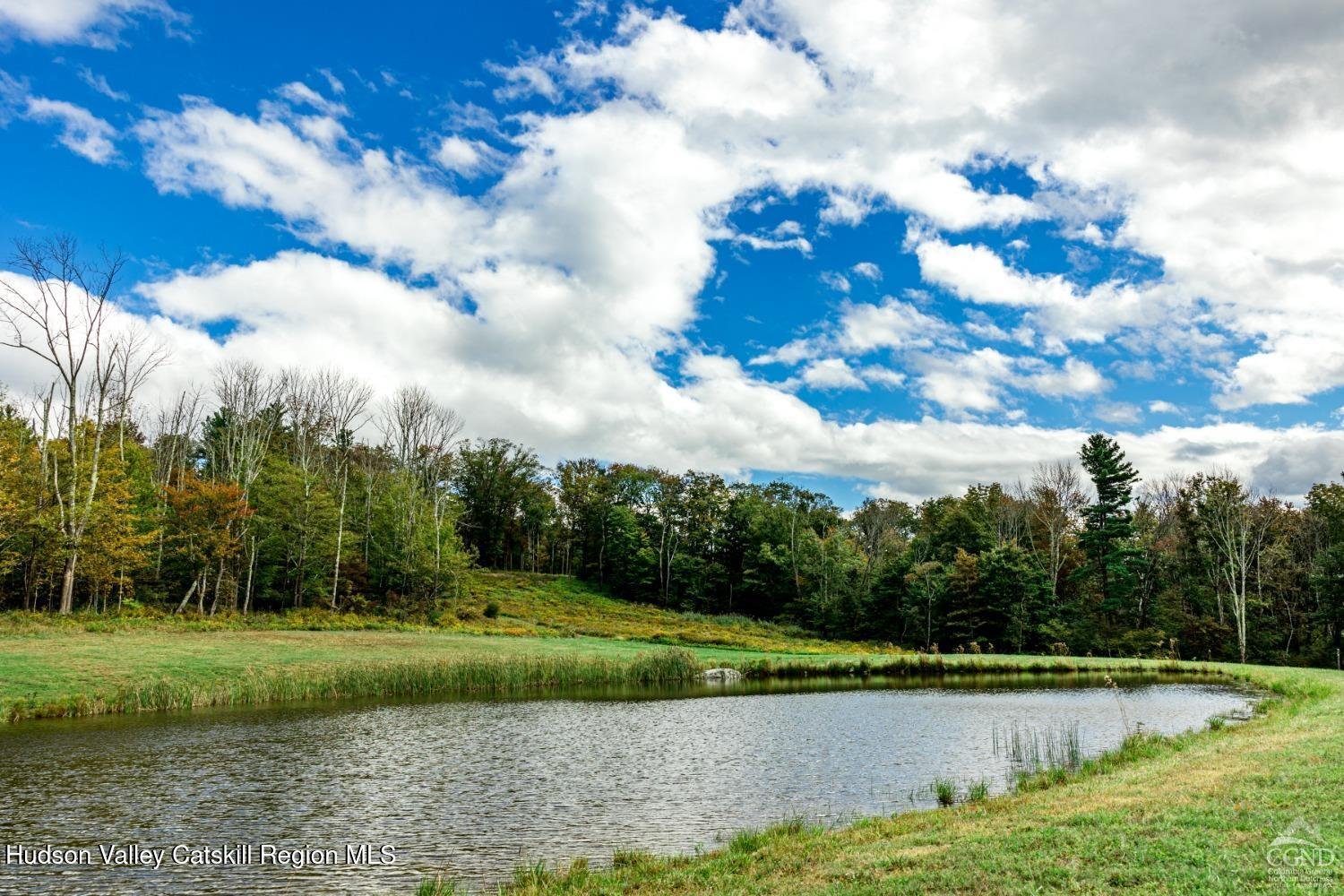 120 Route 203 Photo 13