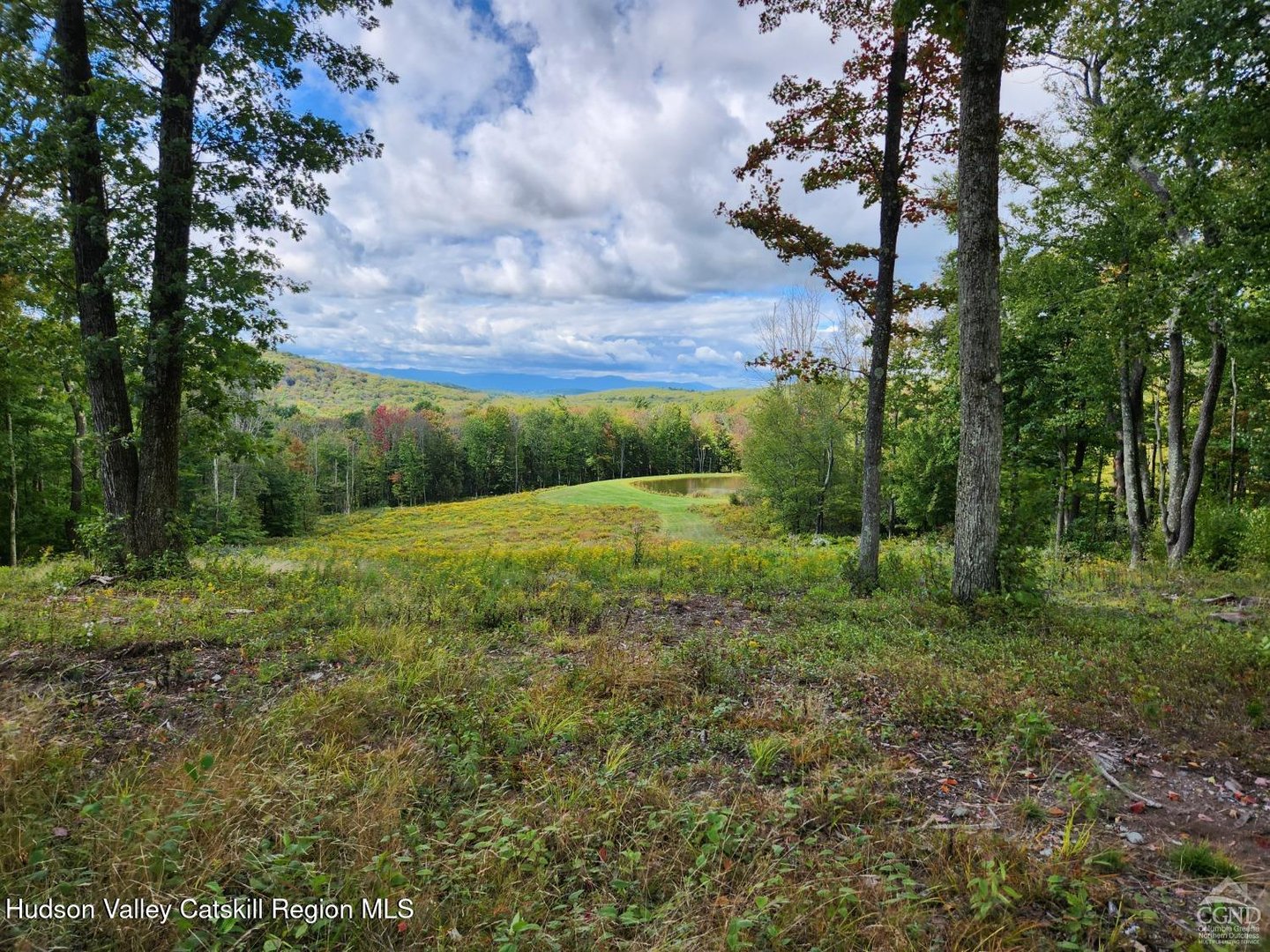 120 Route 203 Photo 8