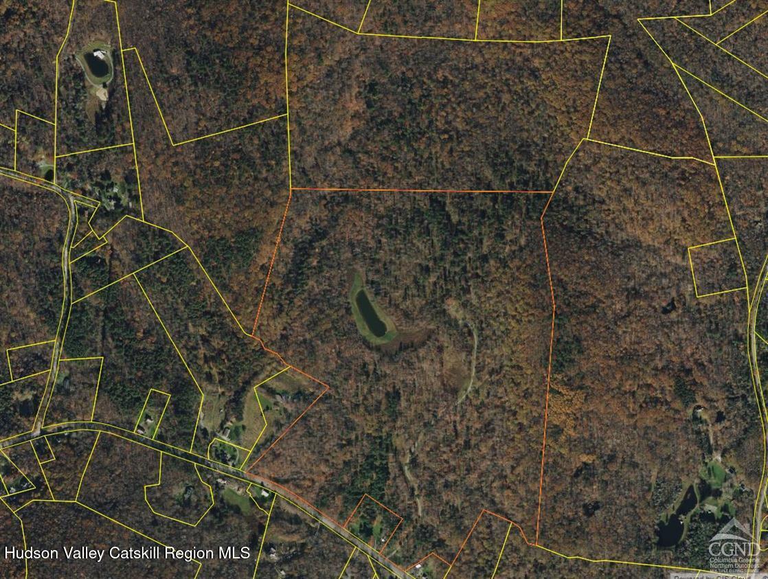 120 Route 203 Photo 27