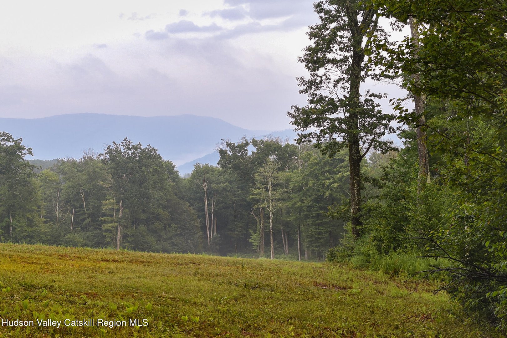 120 Route 203 Photo 4