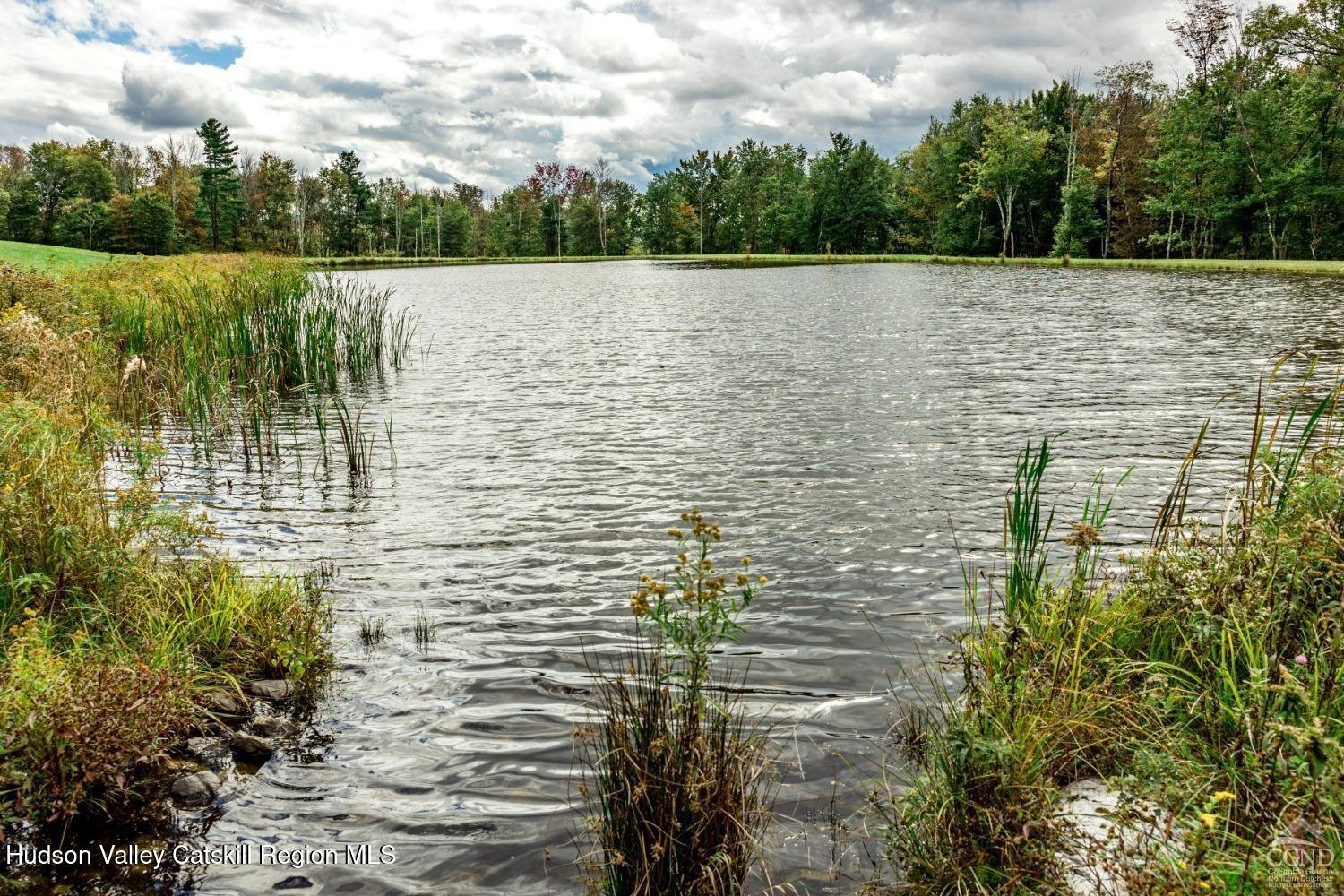 120 Route 203 Photo 16