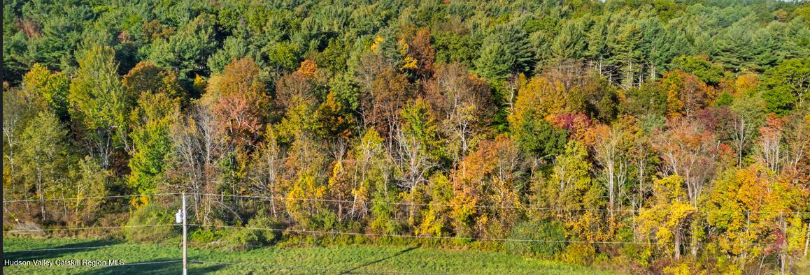 00 Snydertown Road Photo 23