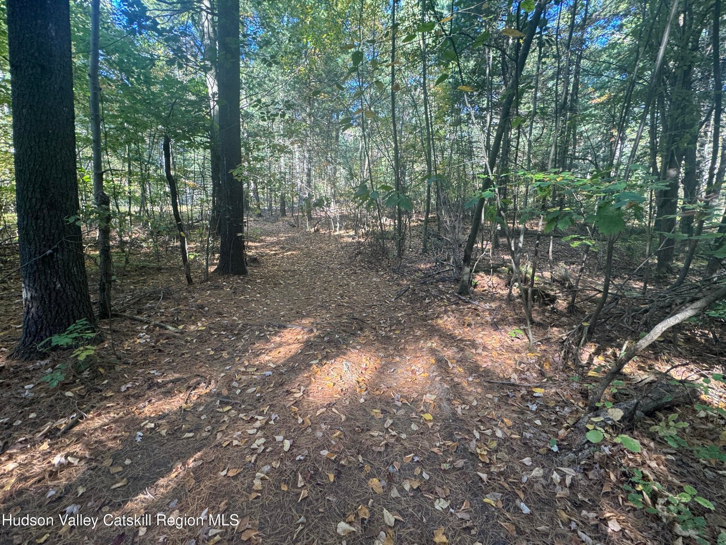 00 Snydertown Road Photo 12