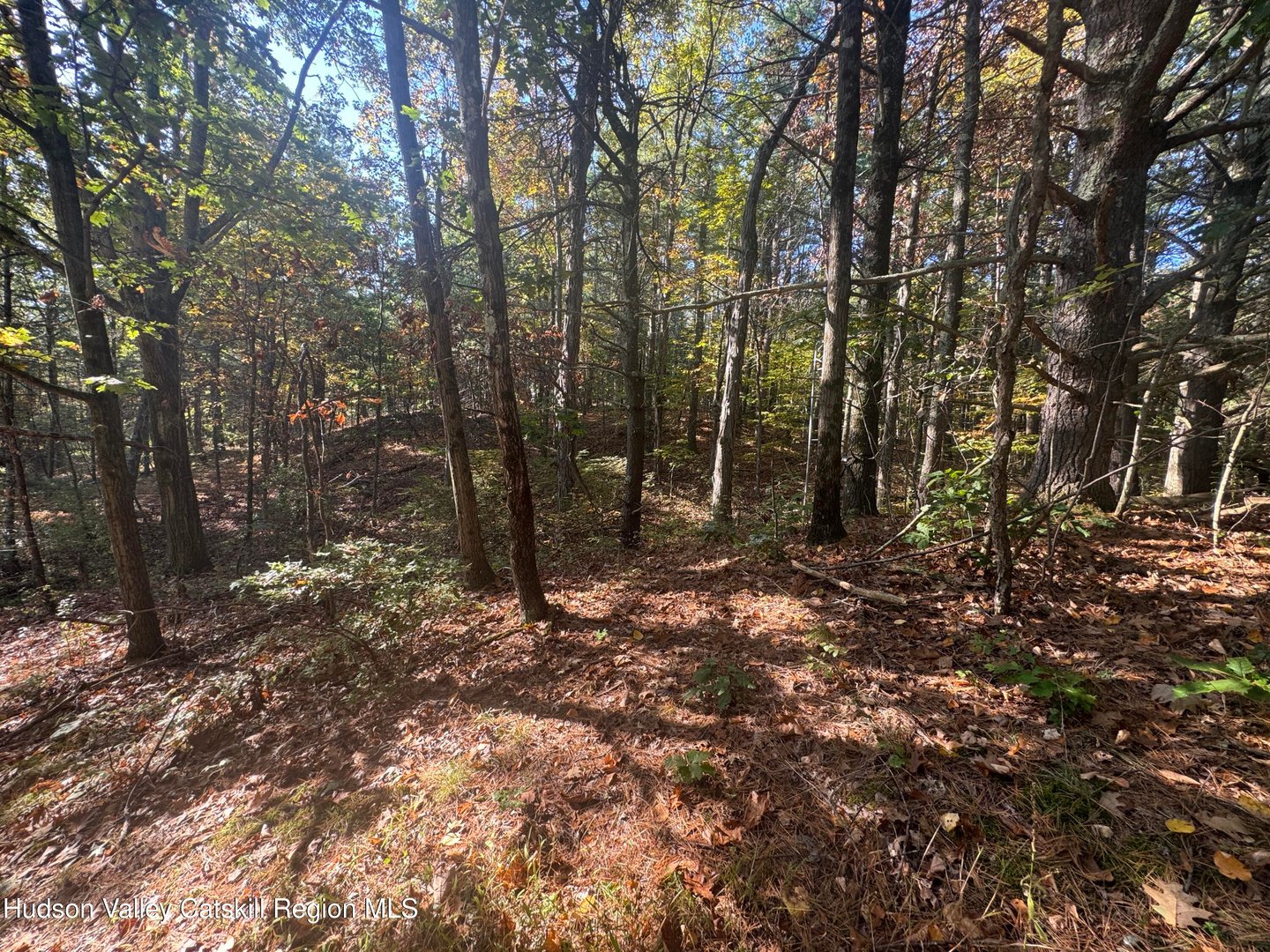 00 Snydertown Road Photo 10