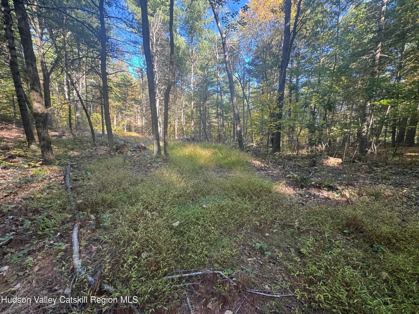 00 Snydertown Road Photo 13