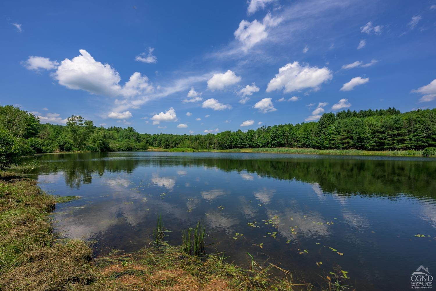 105 Norton Road Photo 7