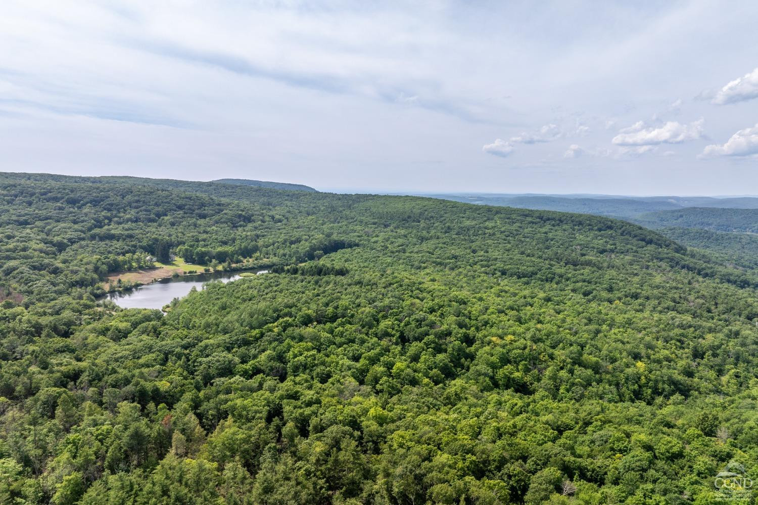 105 Norton Road Photo 18