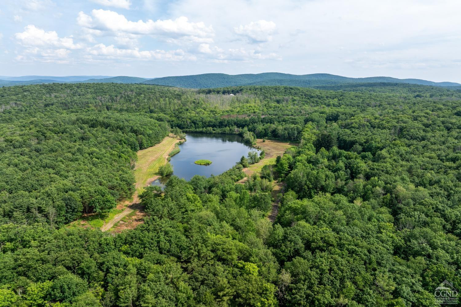 105 Norton Road Photo 21