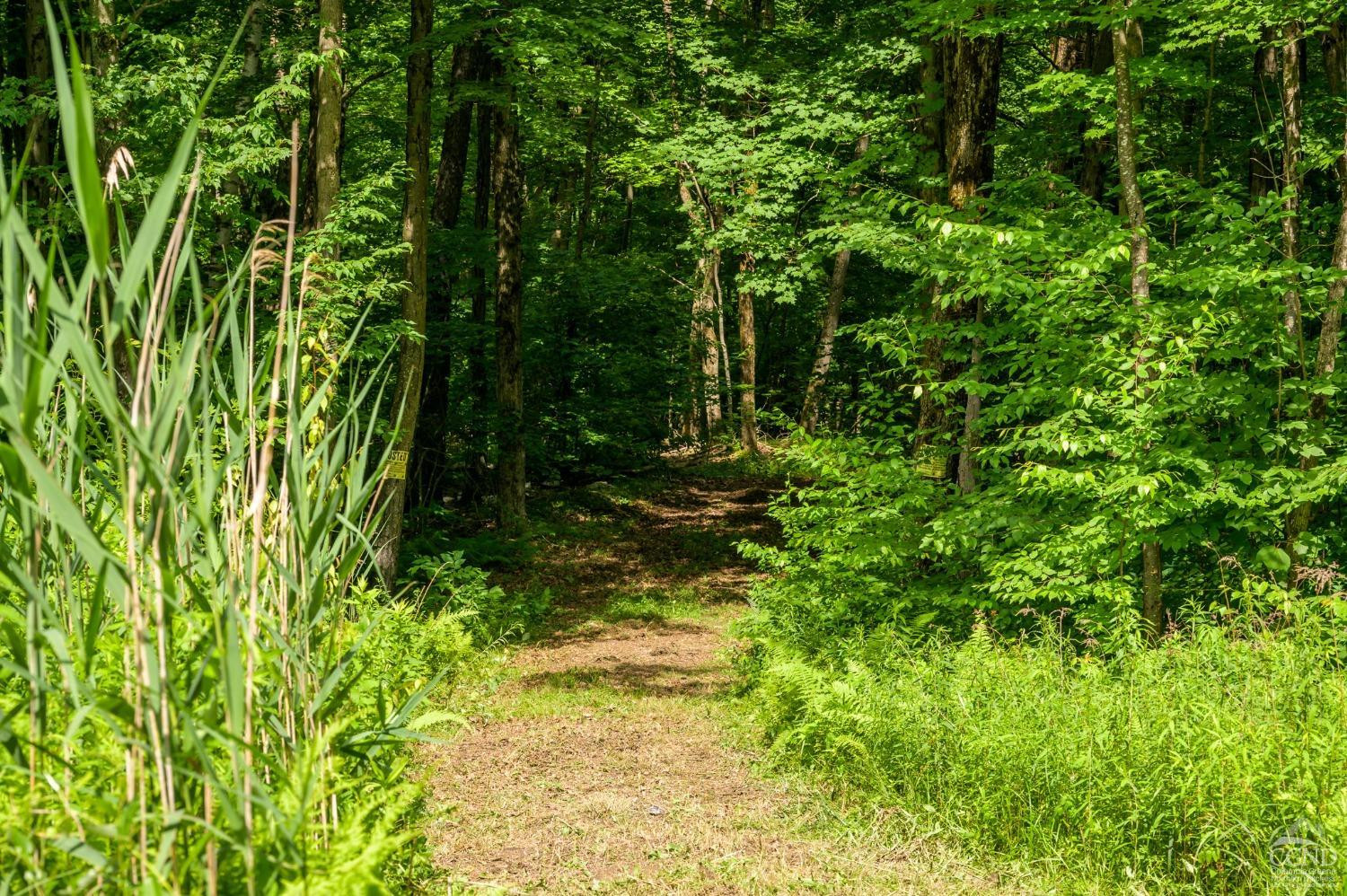 105 Norton Road Photo 23