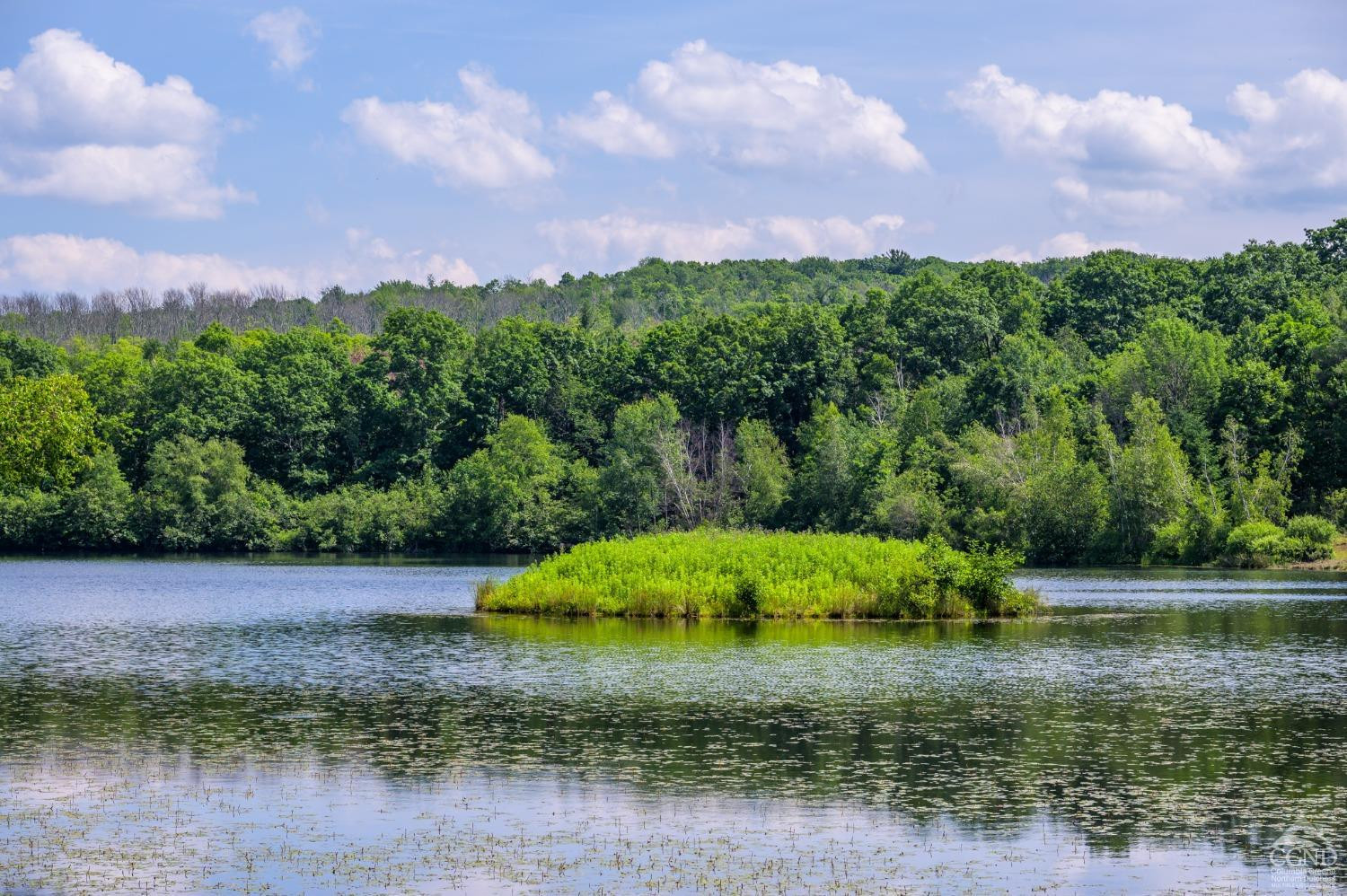 105 Norton Road Photo 5