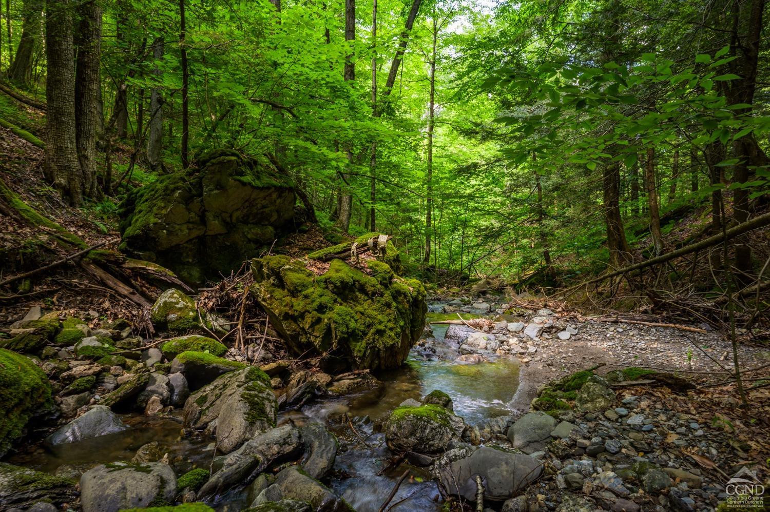 105 Norton Road Photo 13