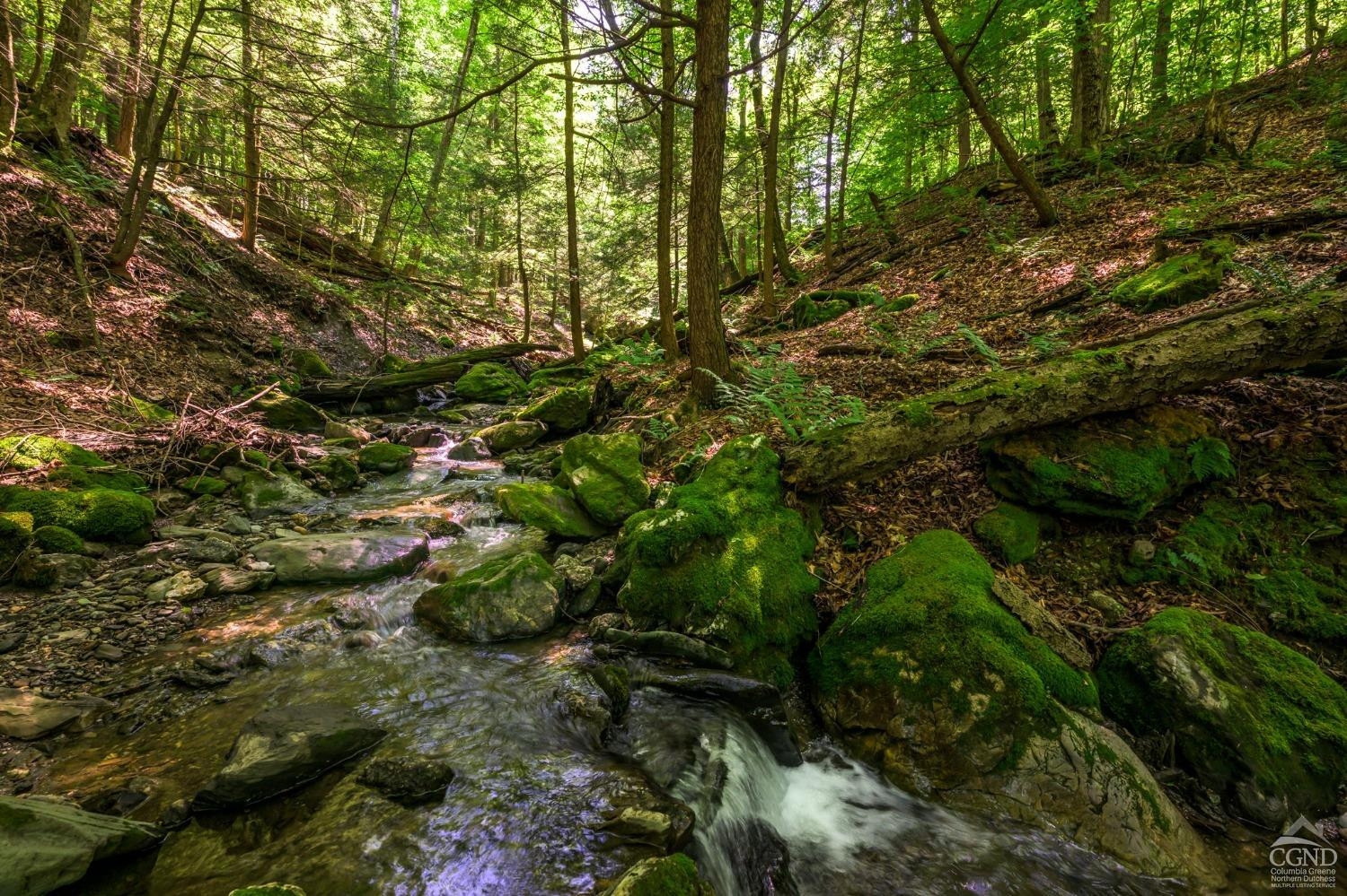 105 Norton Road Photo 10