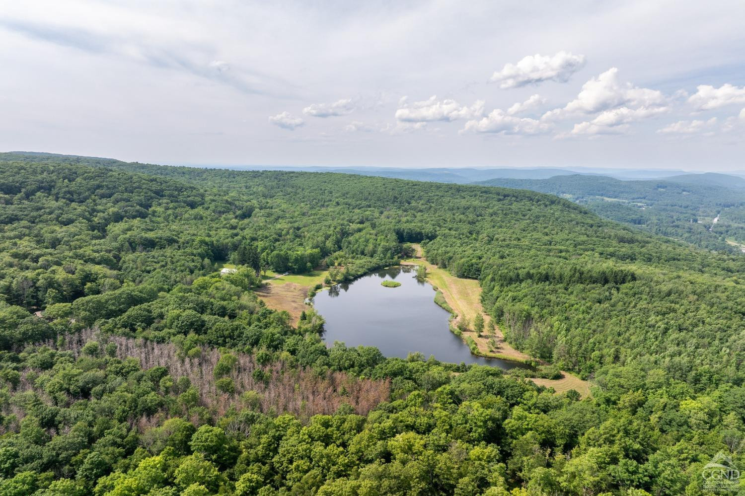 105 Norton Road Photo 19