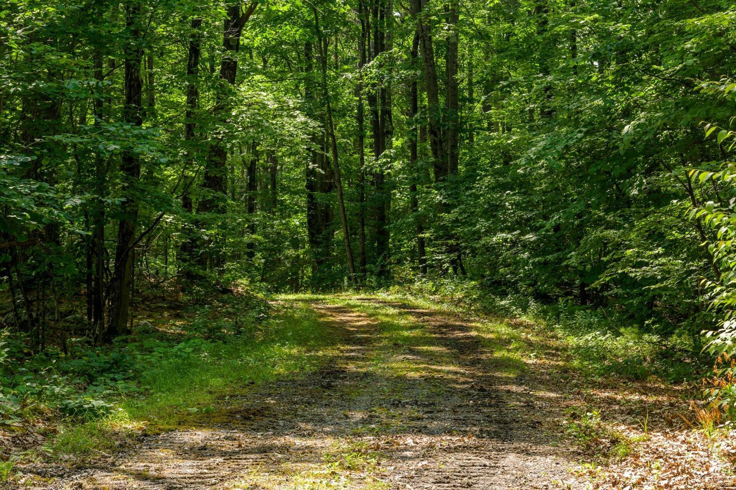 105 Norton Road Photo 22