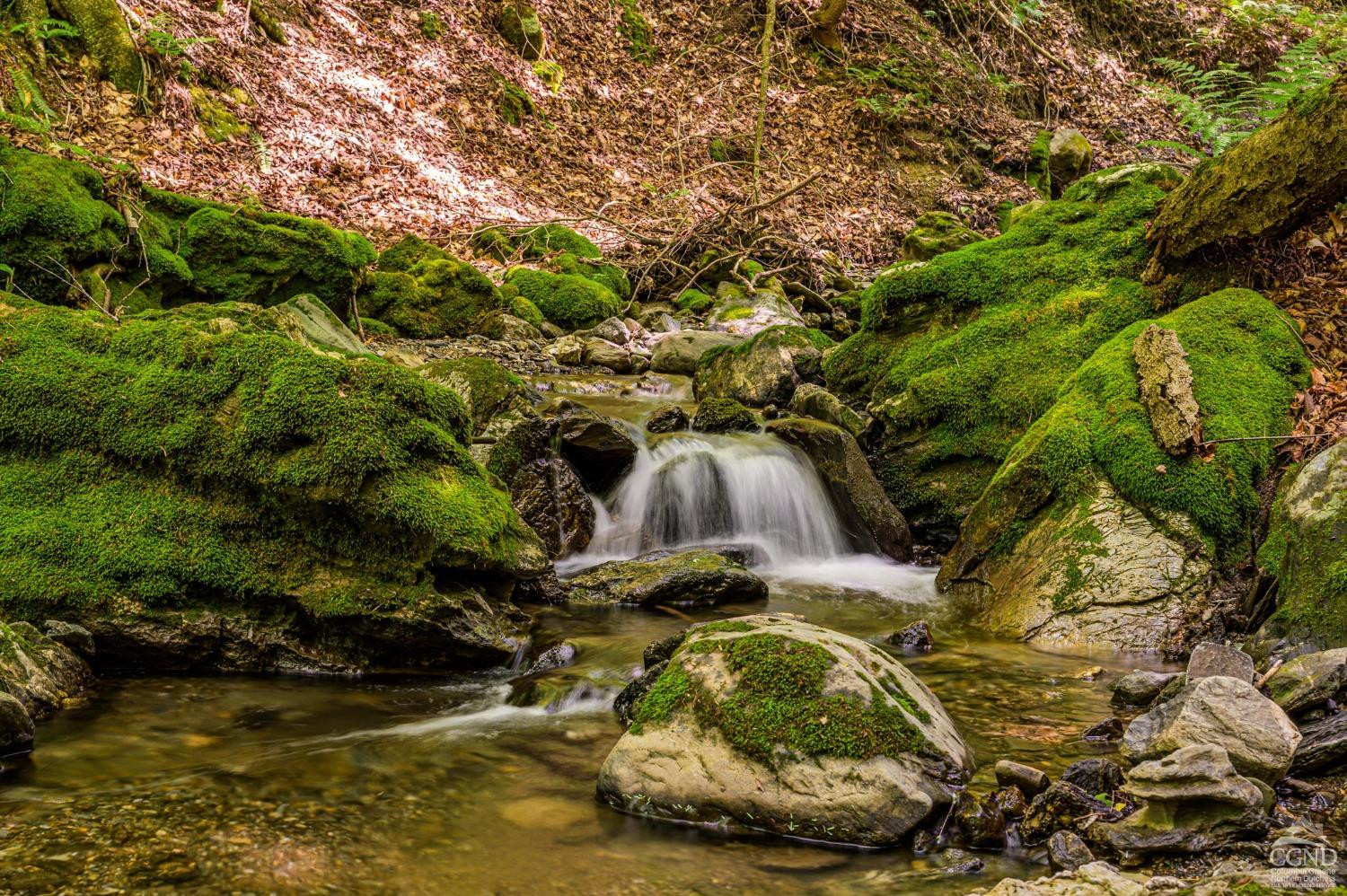 105 Norton Road Photo 12