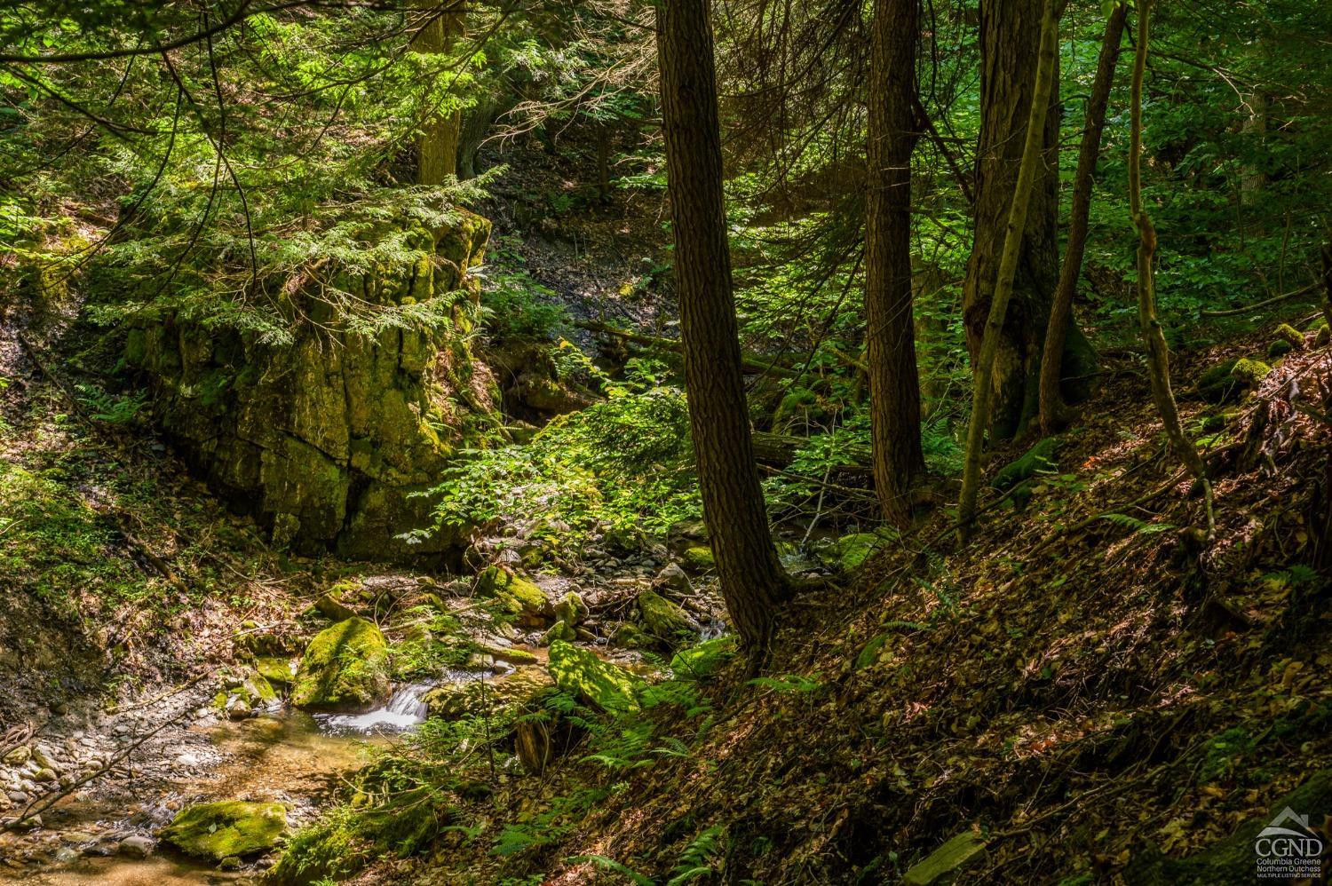 105 Norton Road Photo 11