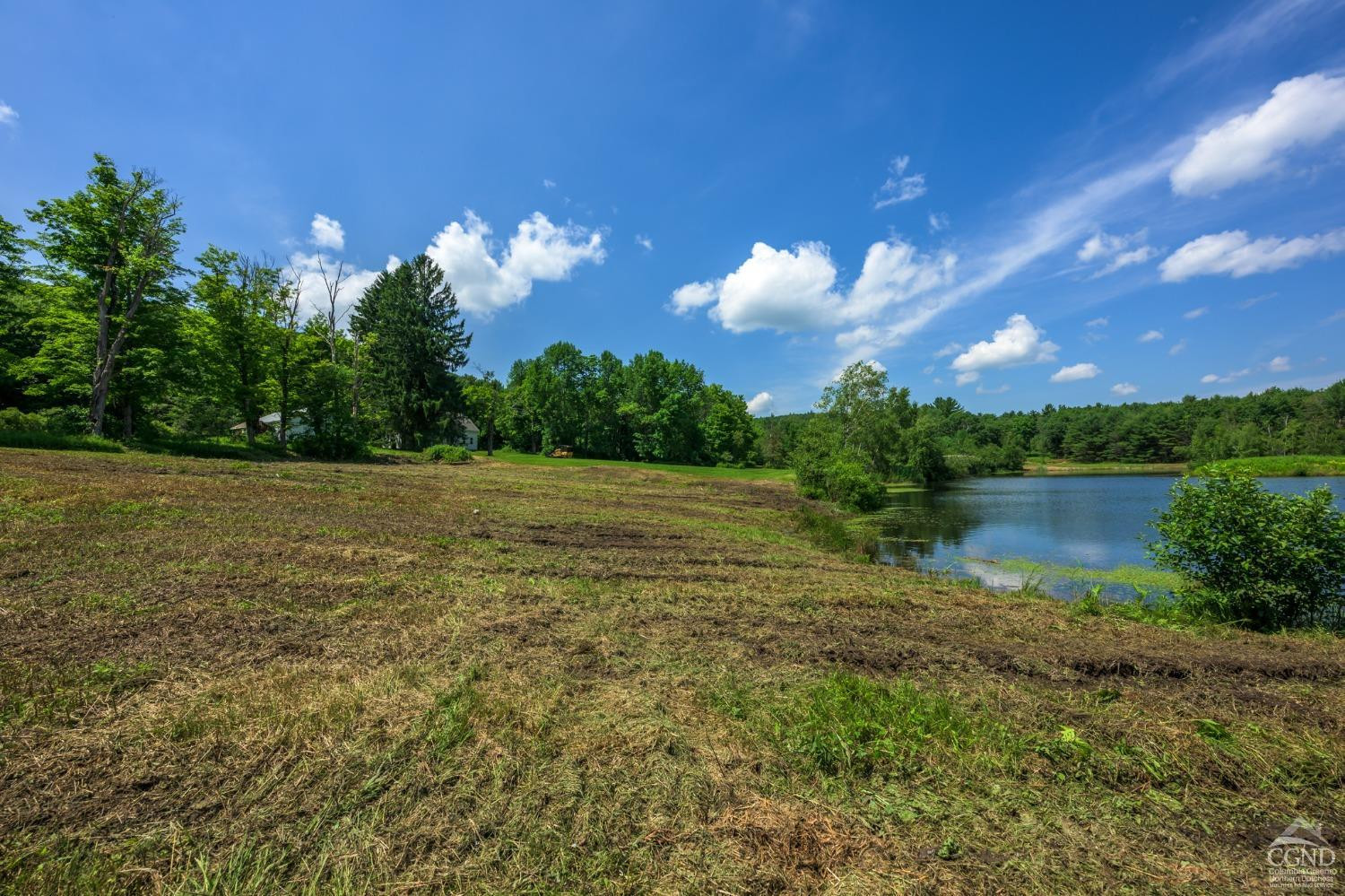 105 Norton Road Photo 6