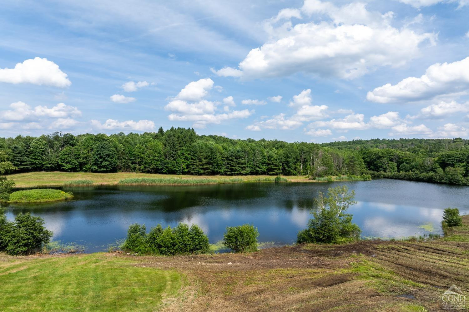 105 Norton Road Photo 16