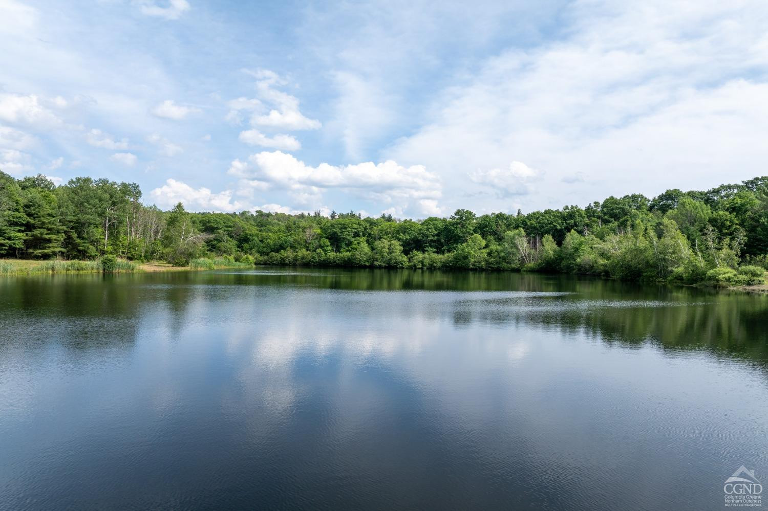 105 Norton Road Photo 2