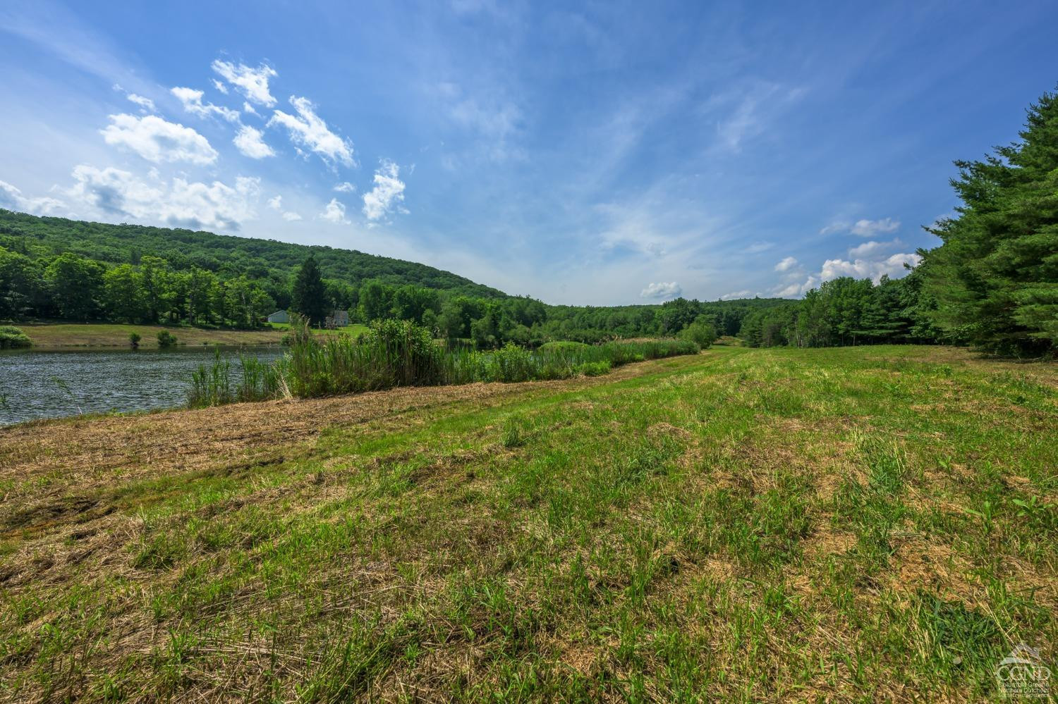 105 Norton Road Photo 14