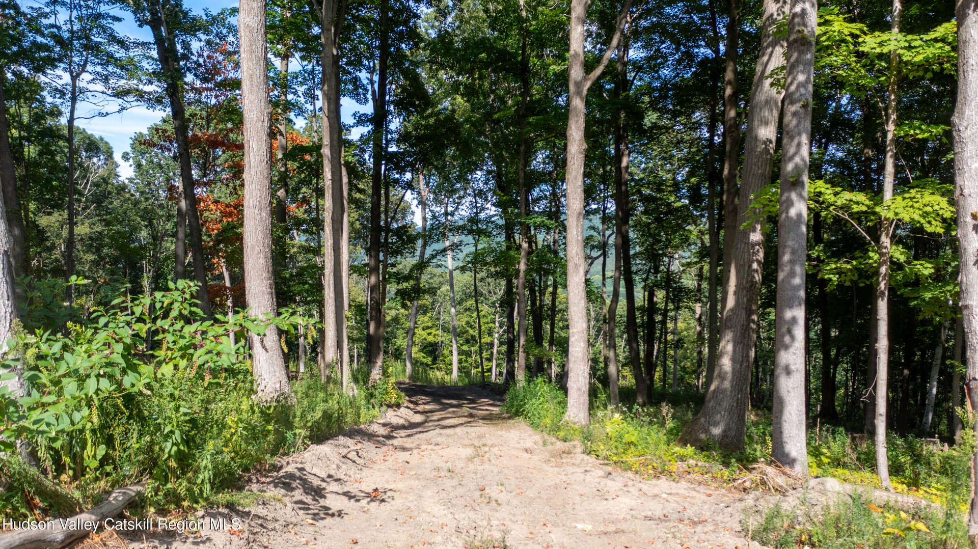 8025 Route 22 Stop 84 Photo 17