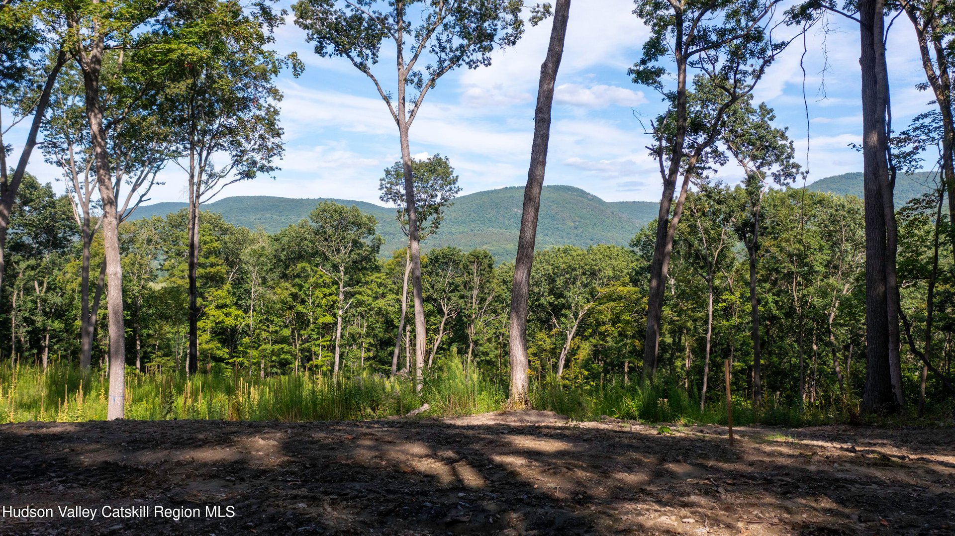 8025 Route 22 Stop 84 Photo 19